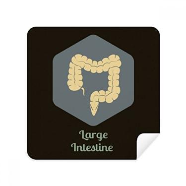 Imagem de Body Organs – Óculos grandes para intestinos – Tecido de camurça, 2 unidades