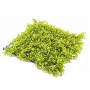 Imagem de Jardim Vertical Samambaia Gg008a Pack 4pç / 1m² Samambaia