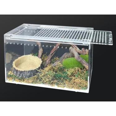 Imagem de Apatal Caixa de acrílico para terrário para répteis 25 cm x 15 cm x 15 cm caixa de reprodução de tarântula magnética transparente para insetos para saltar aranha eremita caranguejo lagarto estilingue