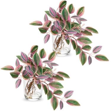 Imagem de 2 peças de hastes artificiais de peperomia de melancia em vaso de vidro com água falsa de 23 cm, folhas de judeu errantes para casa, escritório, fazenda, banheiro, quarto, cozinha, mesa, centro de