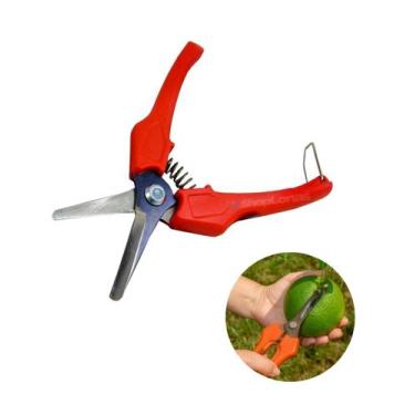 Imagem de Tesoura Profissional Colheita Frutos Carpa 17cm