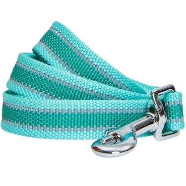 Imagem de Coleira para cachorro Blueberry Pet Essentials 2020 nova refletiva de volta ao básico, verde menta, 1,8 m x 2,54 cm, grande, correias para cães