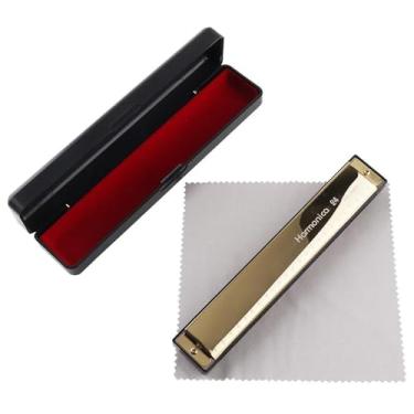 Imagem de Gaita profissional 10 e 24 furos 8K titânio tremolo tom chave C com capa (tipo B)