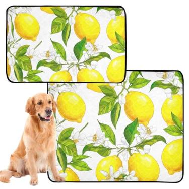 Imagem de Almofadas laváveis para cães para animais de estimação, reutilizáveis, amarelas, limões, folhas verdes, tapete de parto, absorvente impermeável, tapete de cercadinho para cães, médio + grande