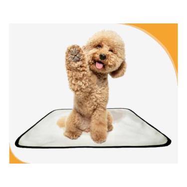 Imagem de Banheiro Canino Lavável Pet Em Oferta 2Un P 50X60Cm - Shelby Moda Pet