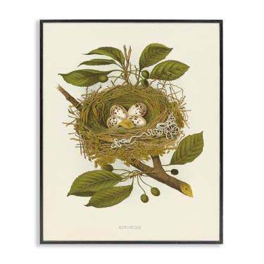 Imagem de Stupell Industries Birdnest with Spotted Eggs Black Framed Giclee Wall Art Design por Tina Higgins Designs, Inc., 40,6 x 50,8 cm