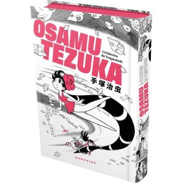 Imagem de Livro - A Feiticeira da Tempestade