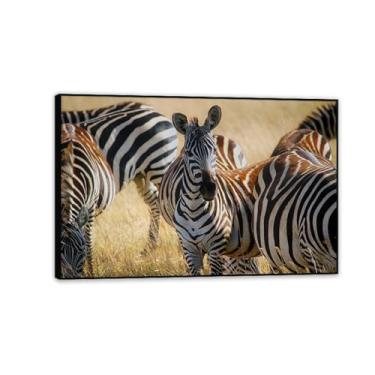 Imagem de SDYJ6GSW Imagens de animais em preto e branco para decoração de parede Zebra pastando na savana africana imagem de cavalo pintura de arte de parede zebra decoração de parede para sala de estar 45 x 30