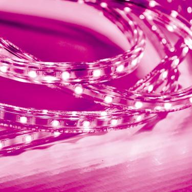 Imagem de Kit 10 Metros Fita Led Taschibra 5W/M IP67 220V Alta Proteção Rosa