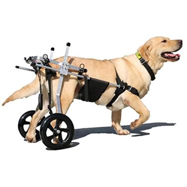 Imagem de PUJPOQRP Cadeira de rodas para cães com 2 rodas para cães médios/grandes, carrinho de aço inoxidável, cadeira de rodas para cães com deficiência, reabilitação da perna traseira (15-60 kg)