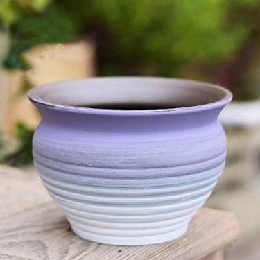 Imagem de uhyOHF Vaso de cerâmica para suculentas, lindo vaso carnudo para jardim doméstico, mini bonsai, cacto, vaso de flores para decoração de casa e escritório (