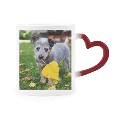 Imagem de Linda caneca sensível ao calor com foto para filhotes filhotes e caneca de grés que muda de cor vermelha
