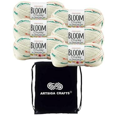 Imagem de Premier Yarns Bloom Chunky Gerbera 1114-21 (6-novelo) mesmo Dyelot volumoso #5 fio de tricô macio 100% acrílico pacote com 1 bolsa de artesanato Artsiga