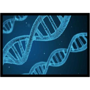 Imagem de Quadro Decorativo Medicina DNA Biologia Corpo Humano Com Moldura RC016