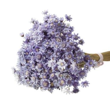 Imagem de Sempre Viva Lilás p/ Decoração - Pense Flores