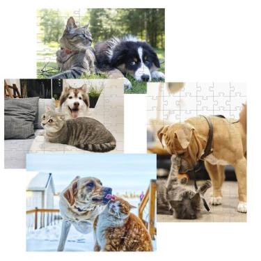 Imagem de Kit 4 Quebra-cabeças Atividades para Mente Cães e Gatos 60 peças - Col