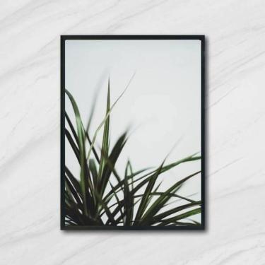 Imagem de Quadro Fotografia De Capim 45X34Cm - Com Vidro Moldura Preta