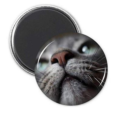 Imagem de Animal Olhando Para Fotografia Gato Ímã Geladeira Adesivo Decoração Presente
