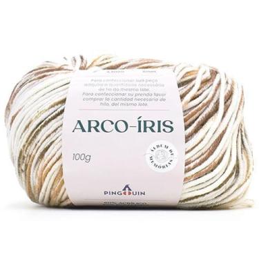 Imagem de Fio Arco-Íris Pingouin 100g - Coleção Álbum de Memórias, 9240 MATIZ