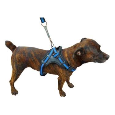 Imagem de Coleira Peitoral Personalizada Pit Bull Pet  - Selaria Forte