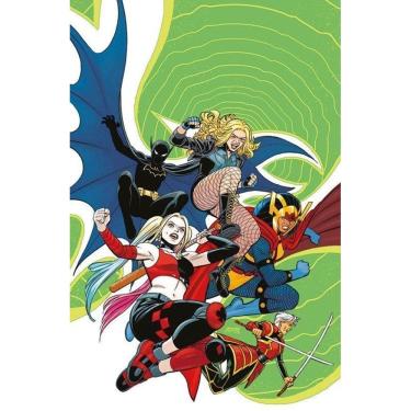 Imagem de Aves de Rapina - Vol. 01