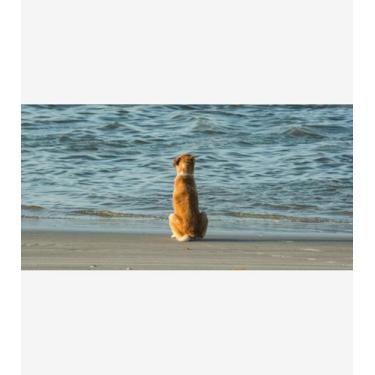 Imagem de Silêncio Infinito 20 - Amazart