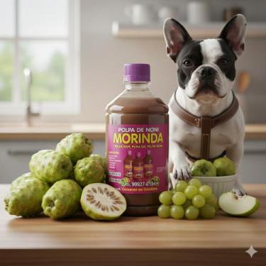 Imagem de Cinomose Tratamento Com Polpa da Fruta Noni Embalagem 500ml - Morinda