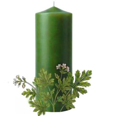 Imagem de Vela de Citronela 340g | 7 Dias de Duração | 5,5 x 15,5 cm | Feita com Óleo Essencial