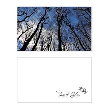 Imagem de Cenário de natureza ciência florestal verde céu azul cartão de agradecimento aniversário lembrança casamento agradecimento