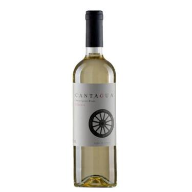 Imagem de Vinho Branco Chileno Cantagua Clássico Sauvignon Blanc - Viña Cantagua