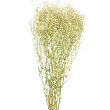 Imagem de Buquê Gypso Mosquitinho Branco Gypsofila Desidratado Arranjo - INSPIRA