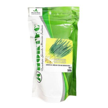 Imagem de Sementes de Cebolinha Todo Ano HT Pcte C/ 500 Gramas - HORTEC