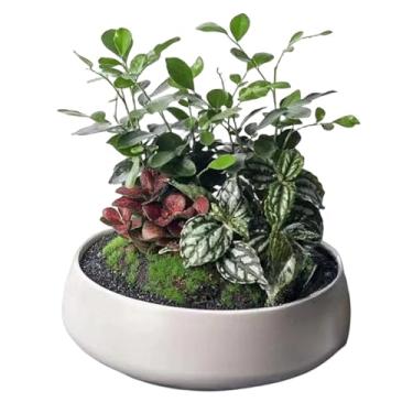 Imagem de Molde grande redondo para vaso de flores de concreto, bandeja de gesso, tigela de armazenamento de gesso, molde de silicone, molde de cimento para suculentas, vaso de plantio