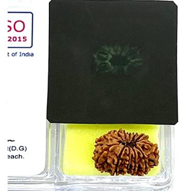 Imagem de Certificado 12 contas Mukhi Rudraksha, doze faces Real Rudraksh, origem do Himalaia, coleções do Nepal - Certificado de laboratório com raio-X