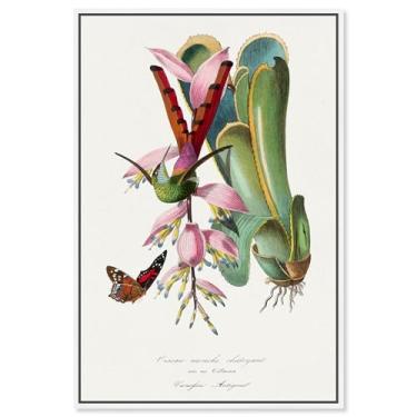 Imagem de Art Remedy Tela de impressões botânicas, 25,4 cm x 38,1 cm, moldura branca, beija-flor 1842 por Gervais