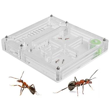 Imagem de Caixa de criação de formigas acrílicas, caixa de criação de formigas hidratantes de alta dureza para crianças