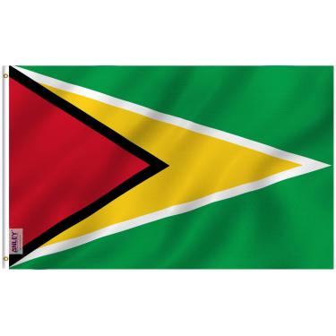 Imagem de ANLEY Fly Breeze Bandeira da Guiana de 3x5 pés A ponta de flecha dourada-prova de desbotamento - Cabeçalho de lona e costura dupla - Bandeiras da Guiana em poliéster com ilhós de latão