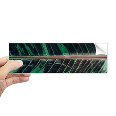 Imagem de DIYthinker Simpol Adesivo retangular para para-choque com foto de planta de banana, folha de banana, decalque para janela