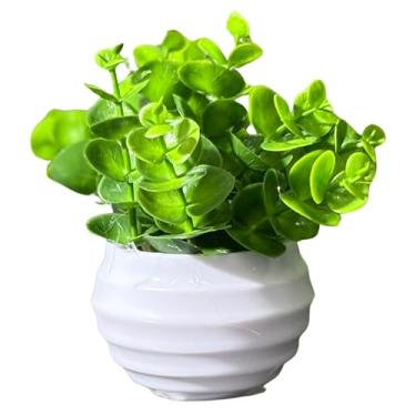 Imagem de Planta Decorativa Artificial Suculenta em Plástico com Vasinho (Branco)