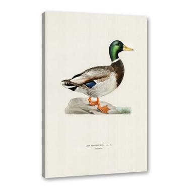 Imagem de Pôster de arte de parede vintage com estampa de pato rústica, pássaros, lago, natureza, retrô, pintura, quadros, decoração de quarto de fazenda (SKU2,27,9 x 35,6 cm = (28 x 35 cm), emoldurado (tela