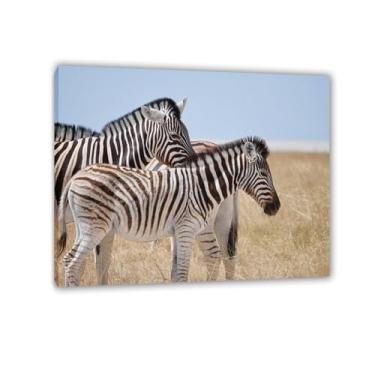 Imagem de Imagens de animais em preto e branco para decoração de parede céu pastagem zebra áfrica imagem de amizade impressão imagem de cavalo tela pintura de parede zebra decoração de parede para sala de estar