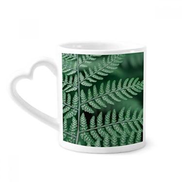 Imagem de Caneca de foto de plantas de folhas para fotografia natural Caneca de café cerâmica copo de coração de vidro