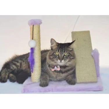 Imagem de Arranhador Gangorra Com Bolinha - Akara do Gato, Lilás