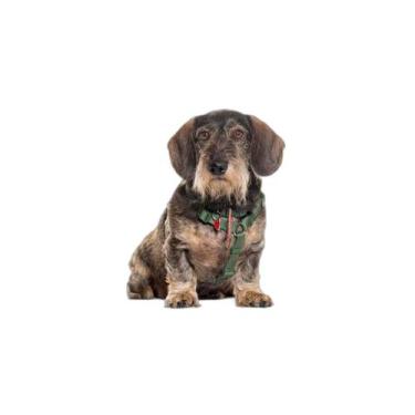 Imagem de Tapete Para Cães Higiênico Em Oferta 2 Un Pp 40X50Cm - Shelby Moda Pet