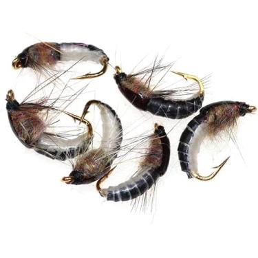 Imagem de 6 peças marrom realista ninfa Scud Fly para pesca de trutas, iscas de plástico macio, caça e pesca, isca artificial para insetos, equipamento de pesca, iscas, iscas e atrativos