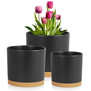 Imagem de Meowell Vasos de flores de 21 cm, pacote com 3 vasos cilíndricos para plantas internas ao ar livre, vasos de plástico decorativos com orifícios de drenagem e pires para plantas de jardim, preto com