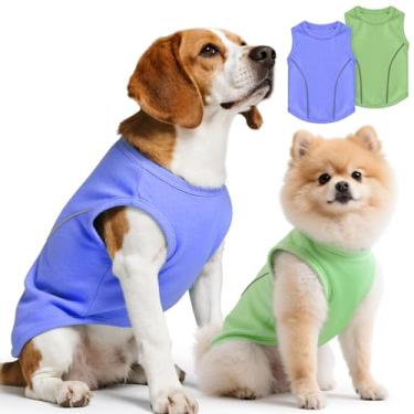 Imagem de Idepet Pacote com 2 camisetas para cães com faixa refletiva, macias, respiráveis, sem mangas, para cães e gatos pequenos, médios, colete impermeável para filhotes, roupas de verão (azul e verde, PP)