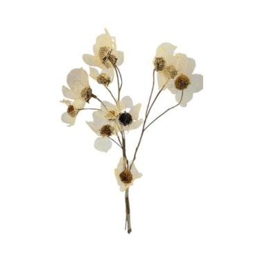 Imagem de Buquê de Flor com Folha Esqueletizada - FLORA FULL