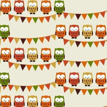 Imagem de Tecido Tricoline Coleção Corujas 0,50x1,50 mt - Fabricart Signature