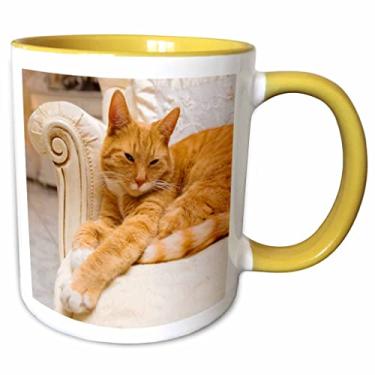 Imagem de 3dRose mug_236171_8 Caneca de poltrona feliz laranja para relaxar na fantasia, 325 ml, amarela